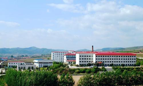 延吉国际合作技术学校标志
