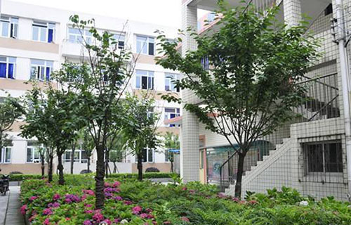 重庆城市管理职业学院2022年招生录取分数线